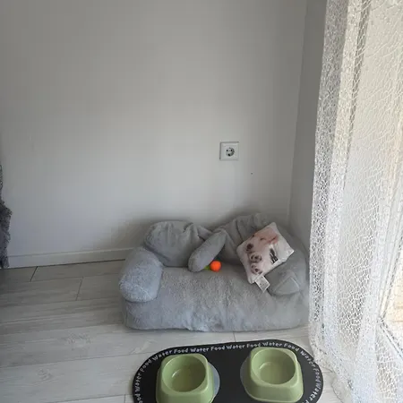 Lucija *